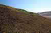 201006060541m.jpg - 2010:06:06 10:19:43