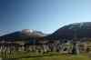 201006060656m.jpg - 2010:06:06 20:01:49