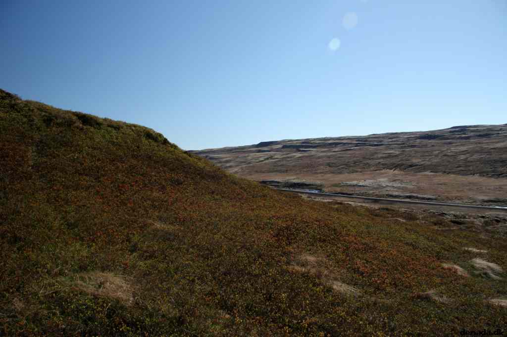 * Image 15