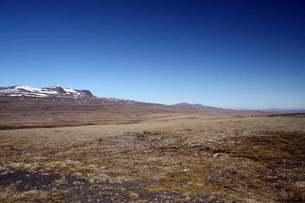 * Image 19