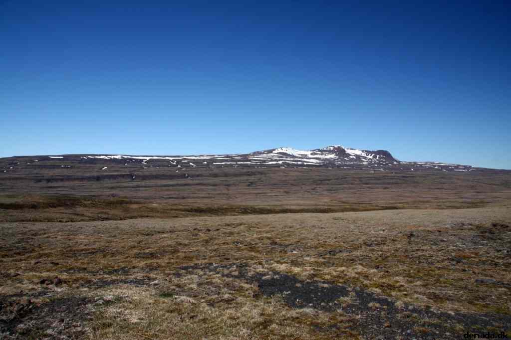* Image 21