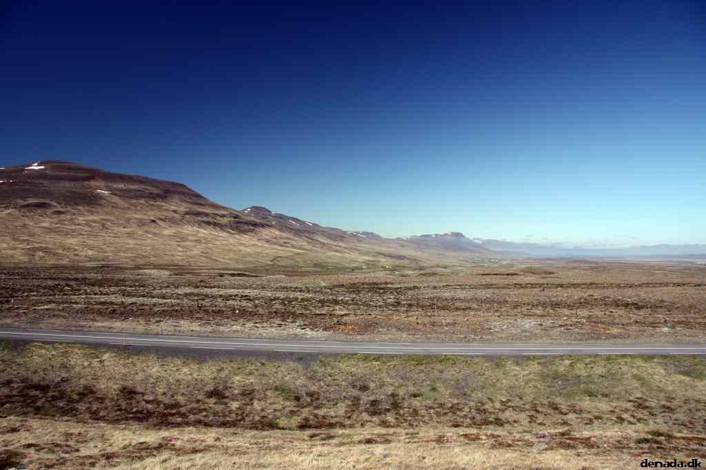 * Image 51