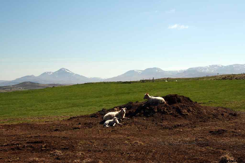 * Image 76