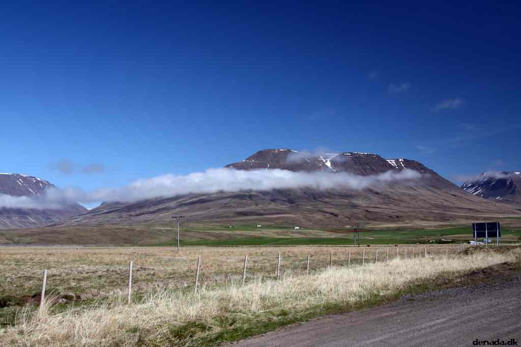* Image 90