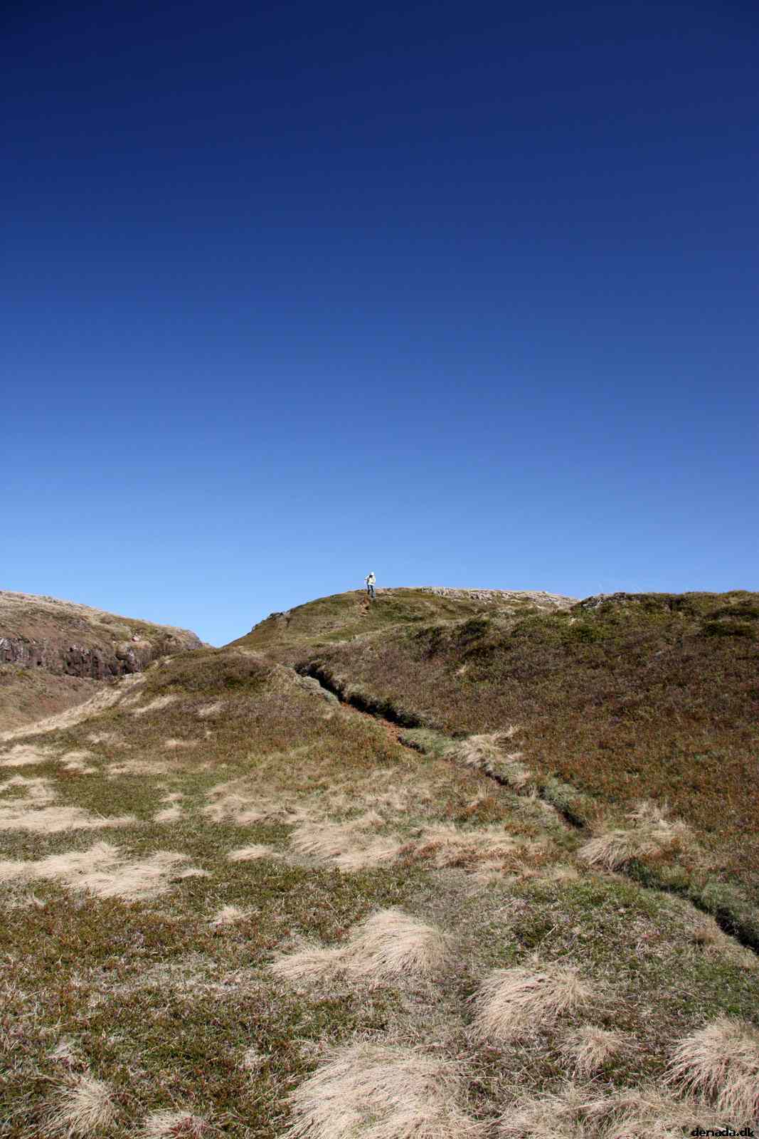 * Image 16
