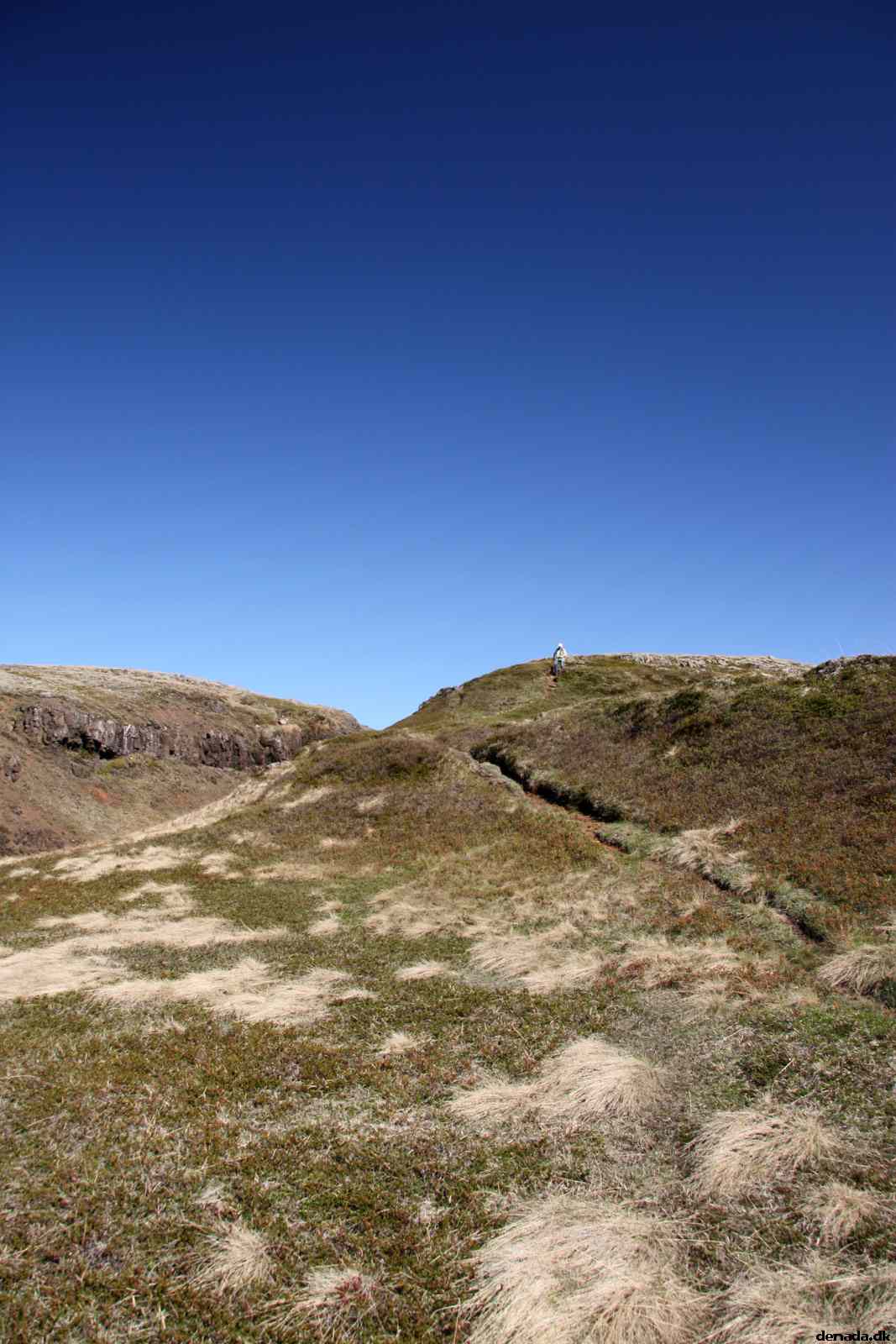 * Image 17