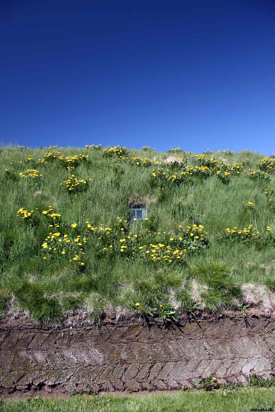 * Image 67