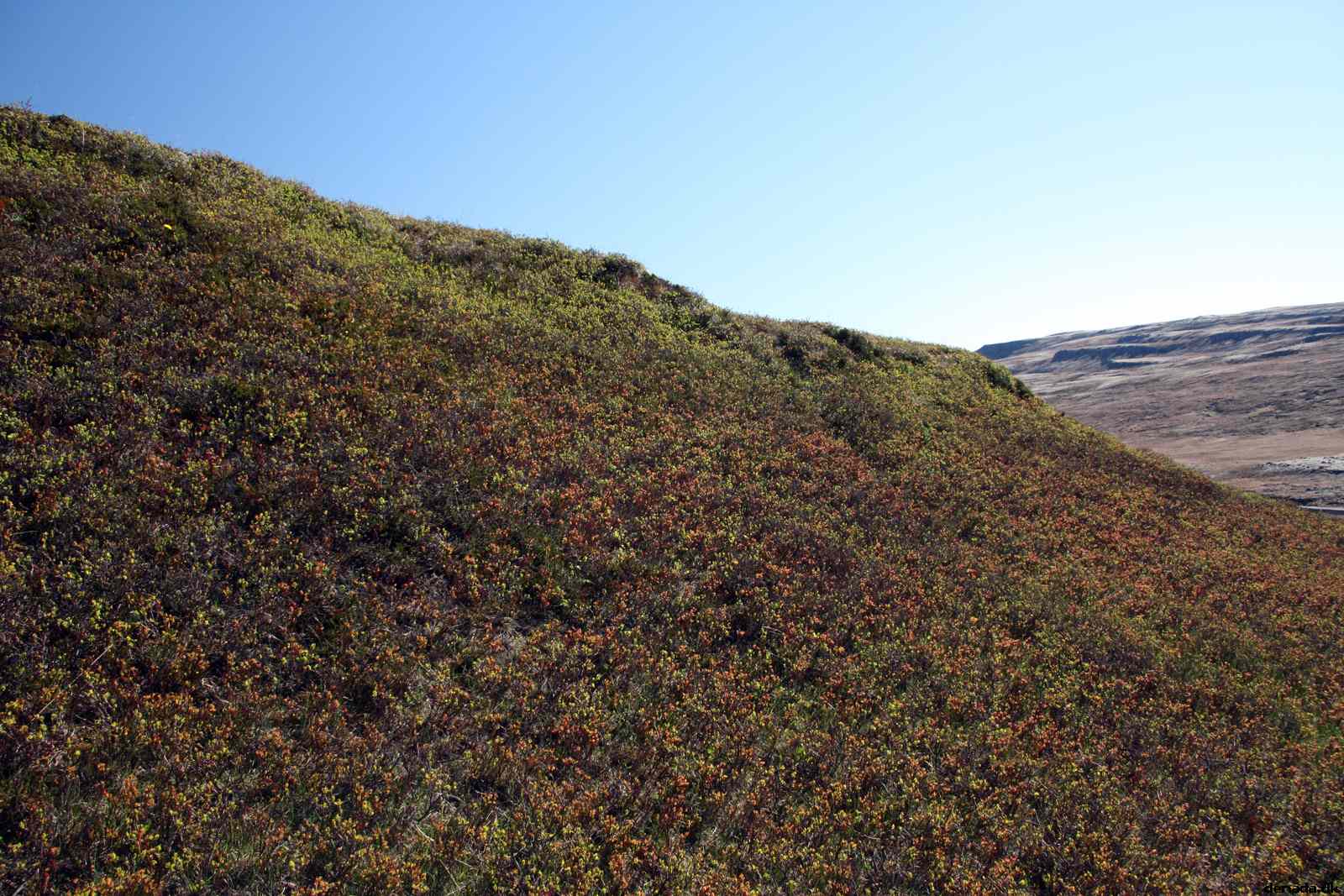 * Image 14