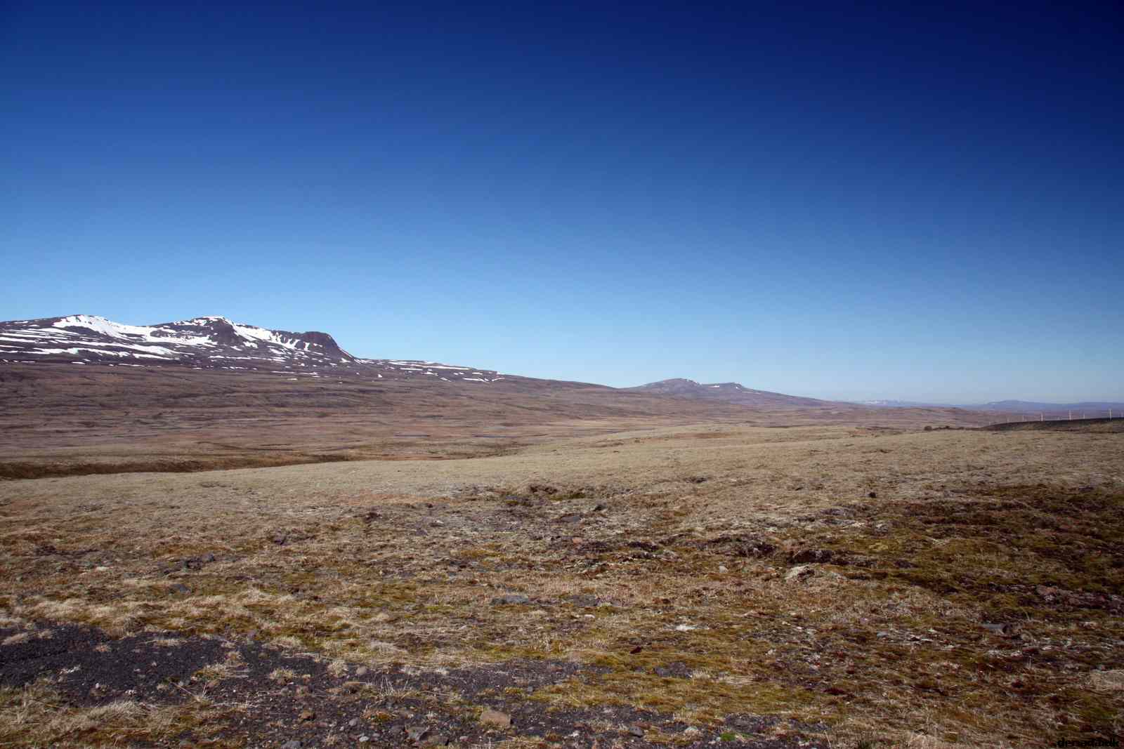 * Image 19