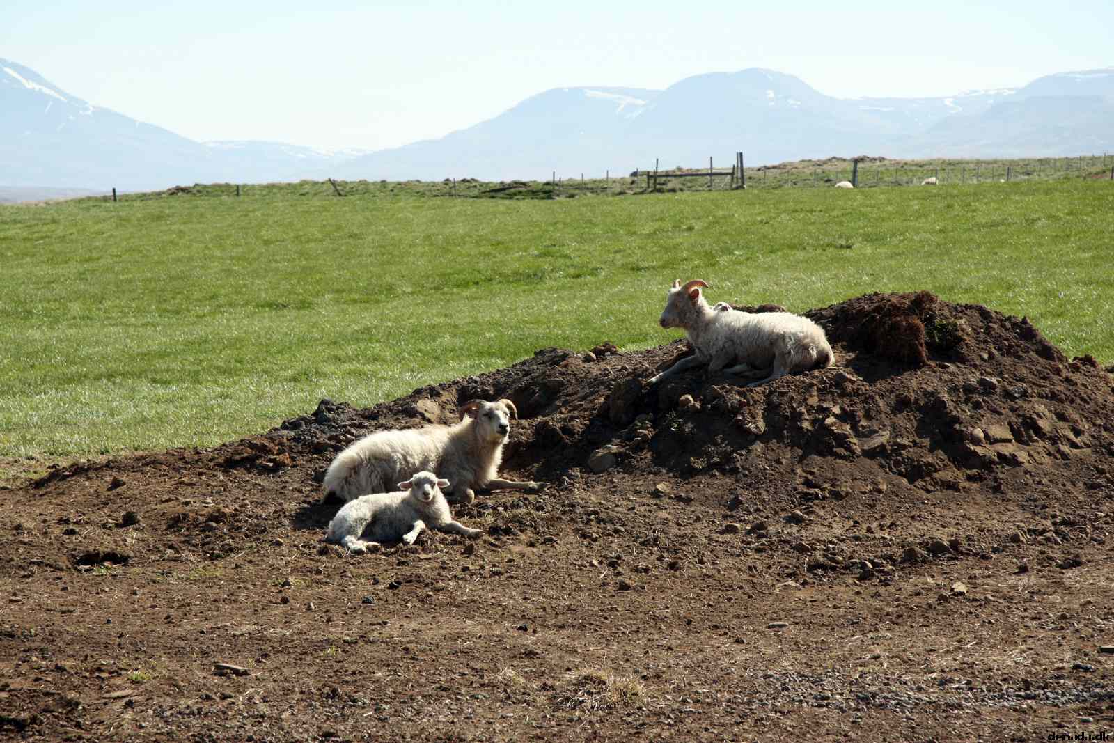 * Image 75