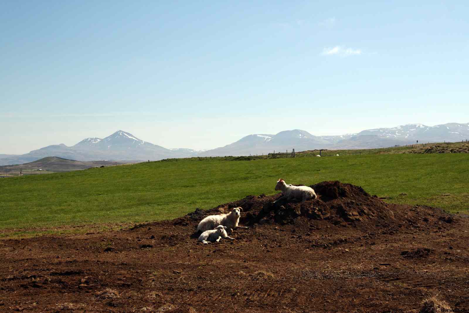 * Image 76