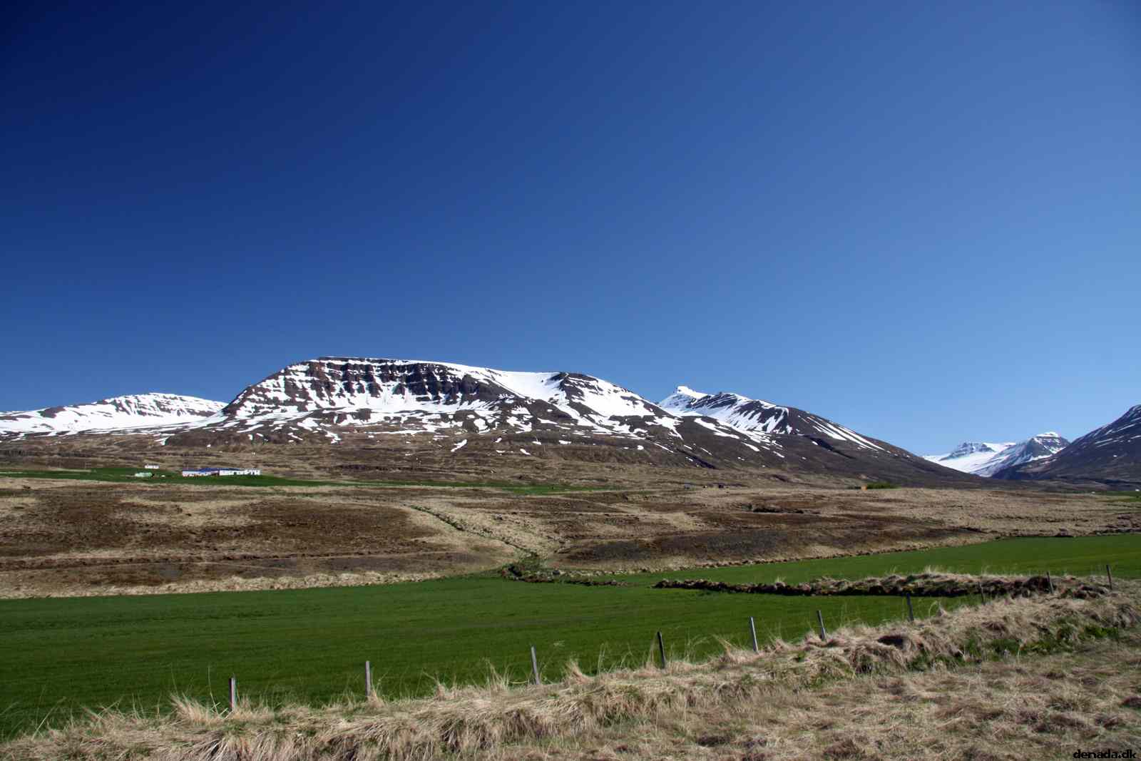 * Image 94