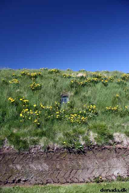 * Image 67