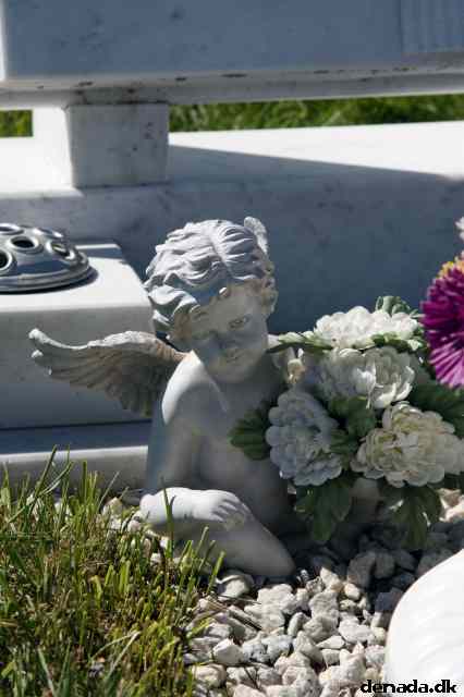 * Image 73