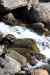 201006060528m.jpg - 2010:06:06 10:04:02