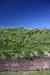 201006060600m.jpg - 2010:06:06 14:43:22
