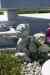 201006060606m.jpg - 2010:06:06 14:46:22