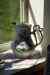 201006060615m.jpg - 2010:06:06 15:30:09