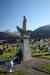 201006060659m.jpg - 2010:06:06 20:03:20