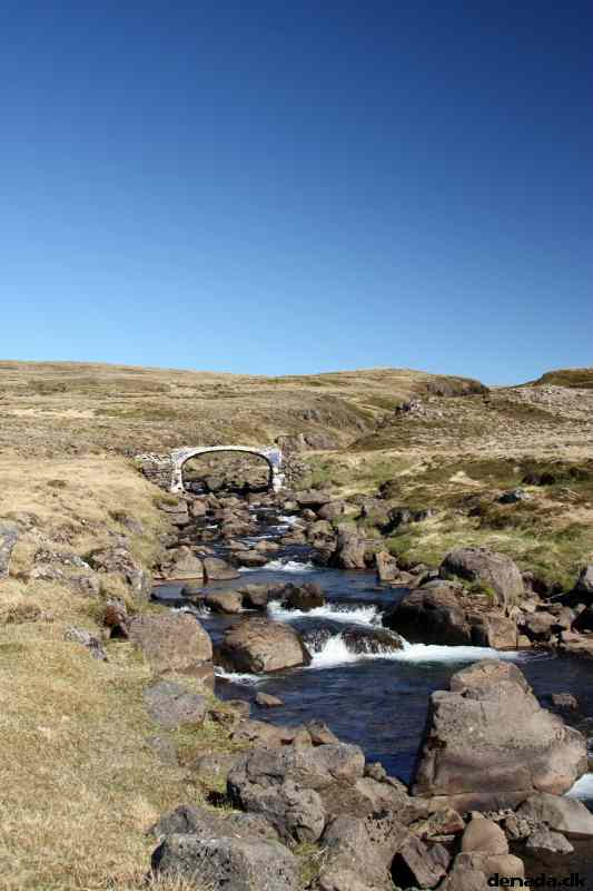 * Image 2