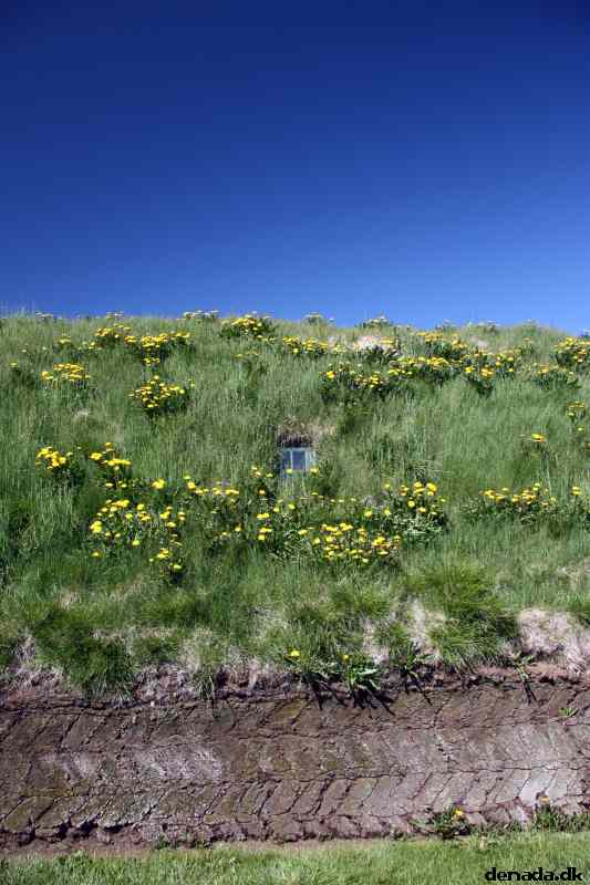 * Image 67