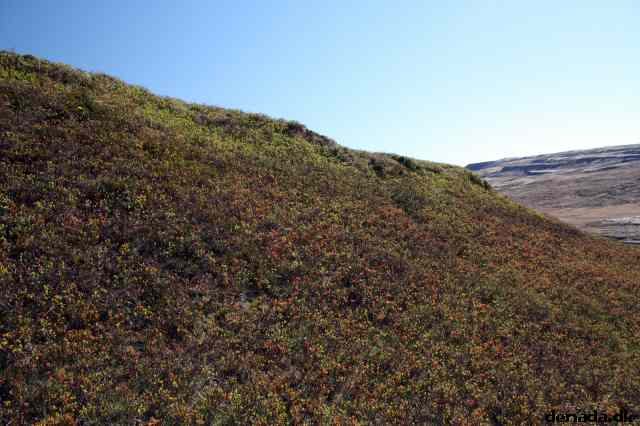 * Image 14