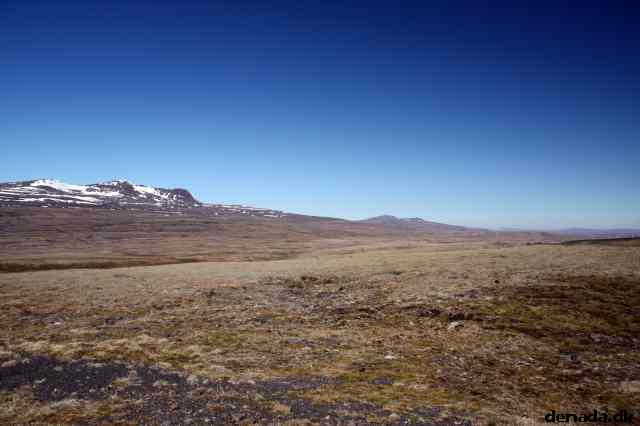 * Image 19