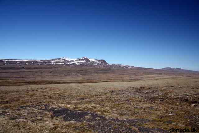 * Image 20