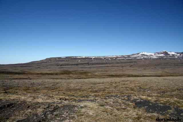 * Image 22