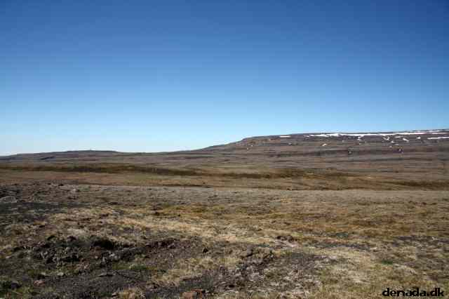 * Image 23