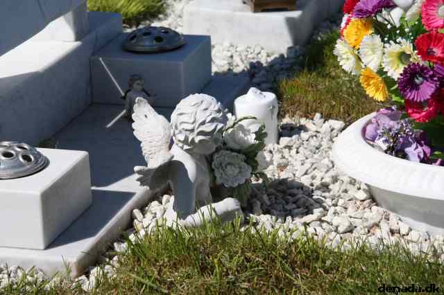 * Image 71