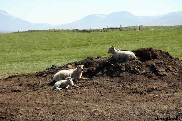 * Image 75