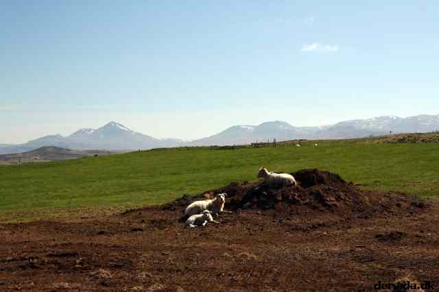* Image 76