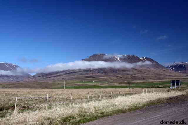 * Image 90