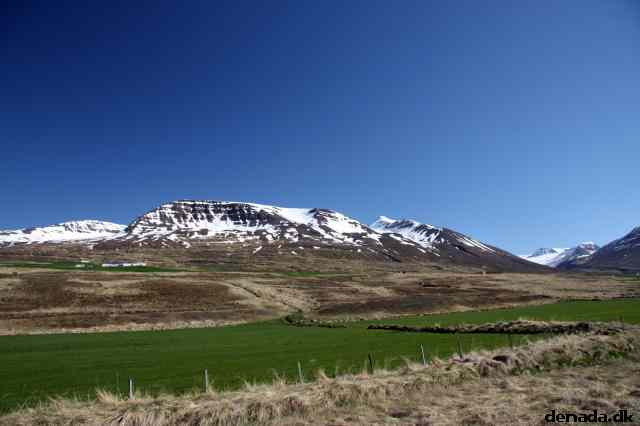 * Image 94