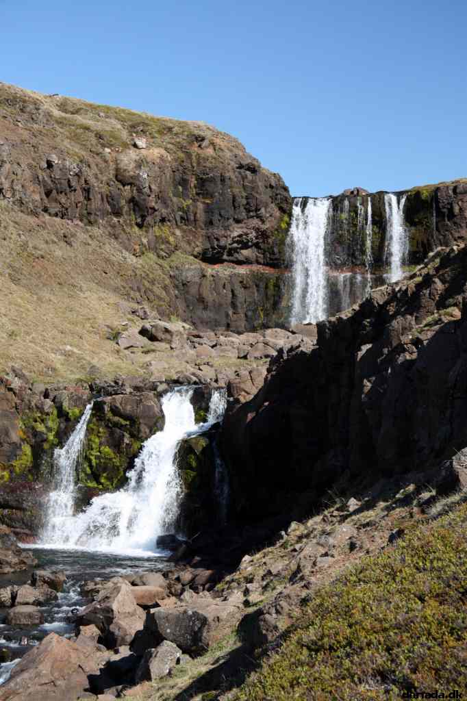 * Image 11