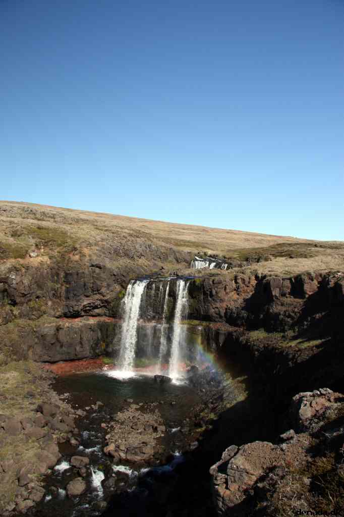 * Image 12