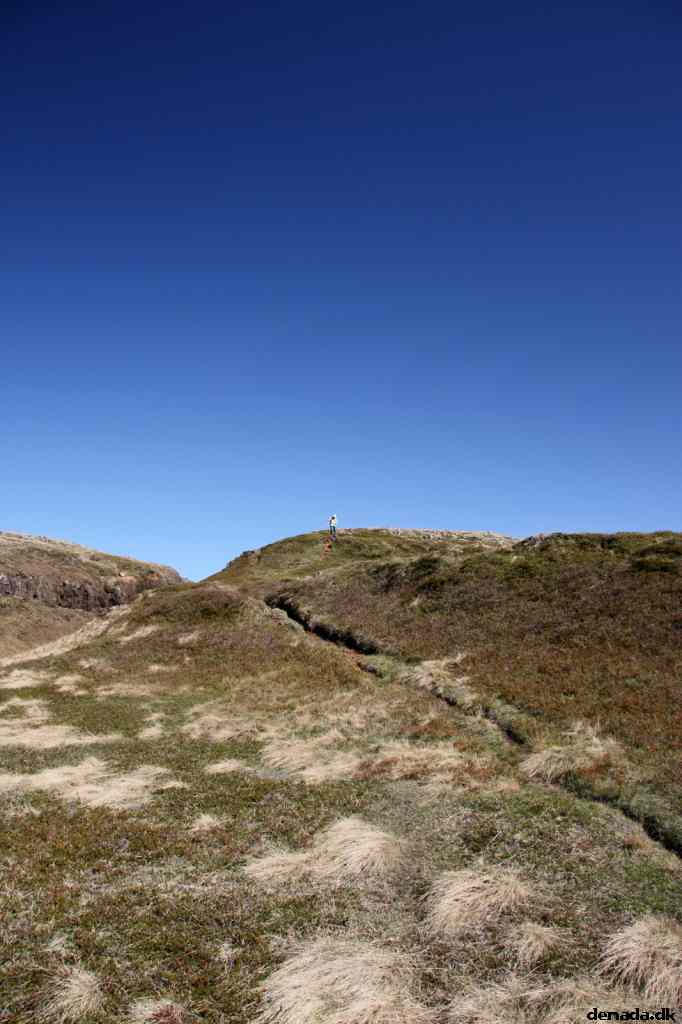 * Image 16