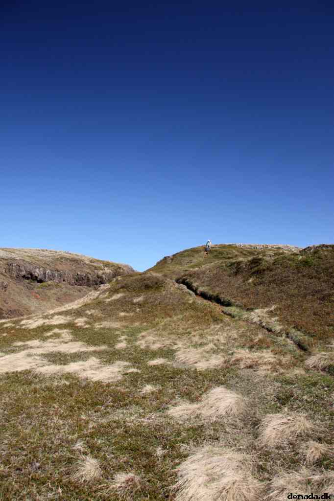 * Image 17