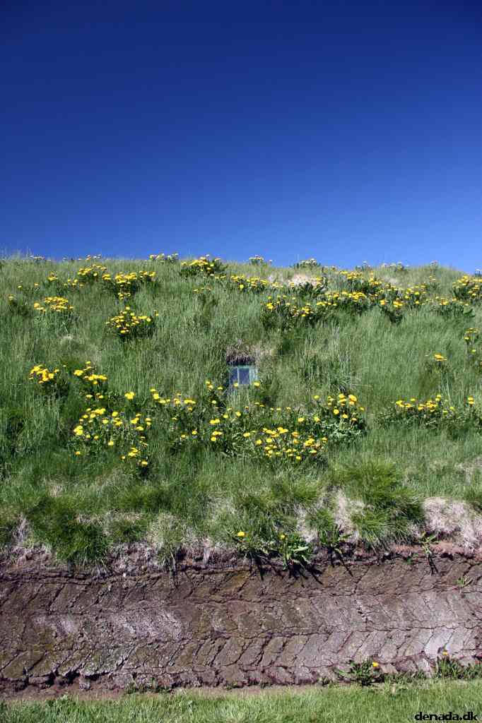 * Image 67