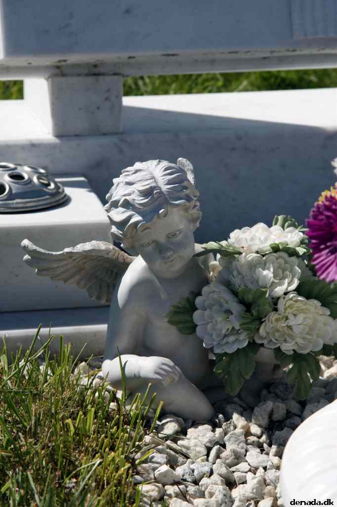 * Image 73