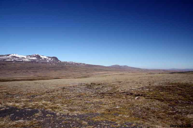 * Image 19