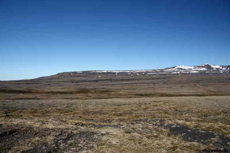 * Image 22
