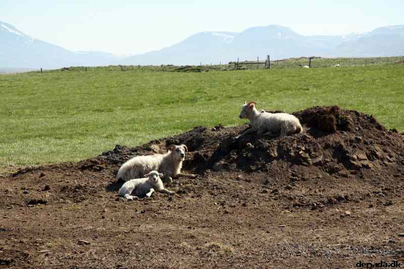 * Image 75