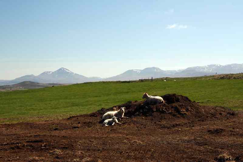 * Image 76