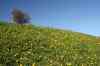 201006070695m.jpg - 2010:06:07 11:12:34