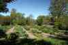 201006070706m.jpg - 2010:06:07 12:41:49