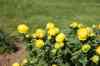 201006070712m.jpg - 2010:06:07 12:45:48