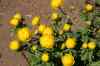 201006070714m.jpg - 2010:06:07 12:46:06