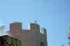 201006070732m.jpg - 2010:06:07 14:19:08